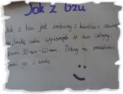 Miniaturka zdjęcia