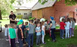 Miniaturka zdjęcia