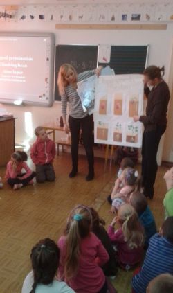 Miniaturka zdjęcia