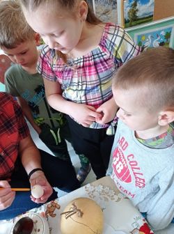 Miniaturka zdjęcia