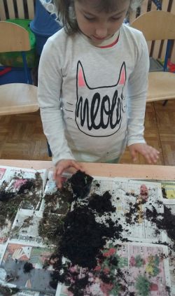 Miniaturka zdjęcia