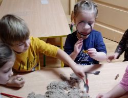 Miniaturka zdjęcia
