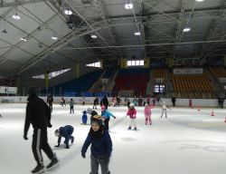 Miniaturka zdjęcia