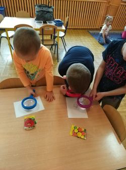 Miniaturka zdjęcia