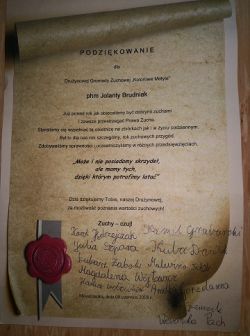 Miniaturka zdjęcia