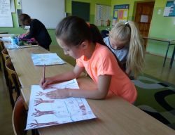 Miniaturka zdjęcia