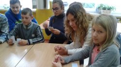Miniaturka zdjęcia