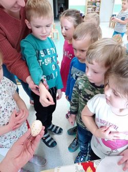 Miniaturka zdjęcia