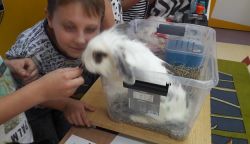 Miniaturka zdjęcia