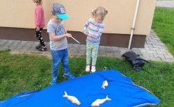 Miniaturka zdjęcia