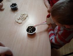Miniaturka zdjęcia