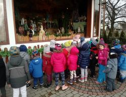 Miniaturka zdjęcia