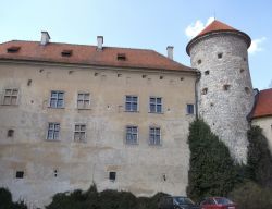 Miniaturka zdjęcia