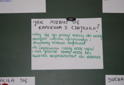Miniaturka zdjęcia