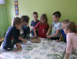 Miniaturka zdjęcia