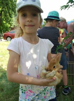 Miniaturka zdjęcia