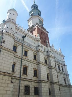 Miniaturka zdjęcia