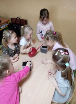 Miniaturka zdjęcia