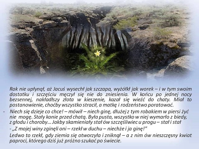 Obraz: 
