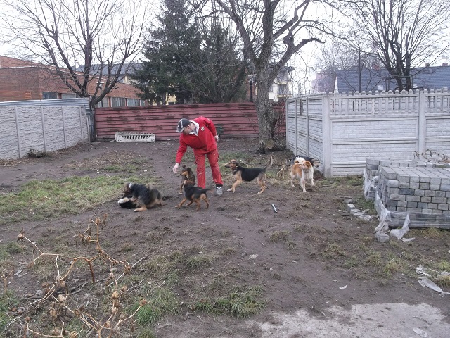 Obraz: 