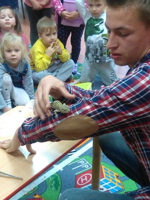 Obraz: