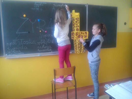 Obraz: