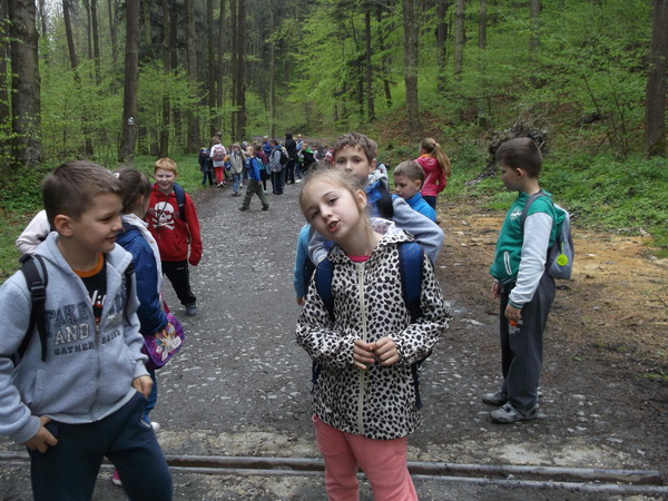 Obraz: 