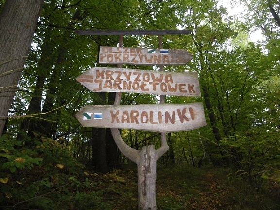 Obraz: 