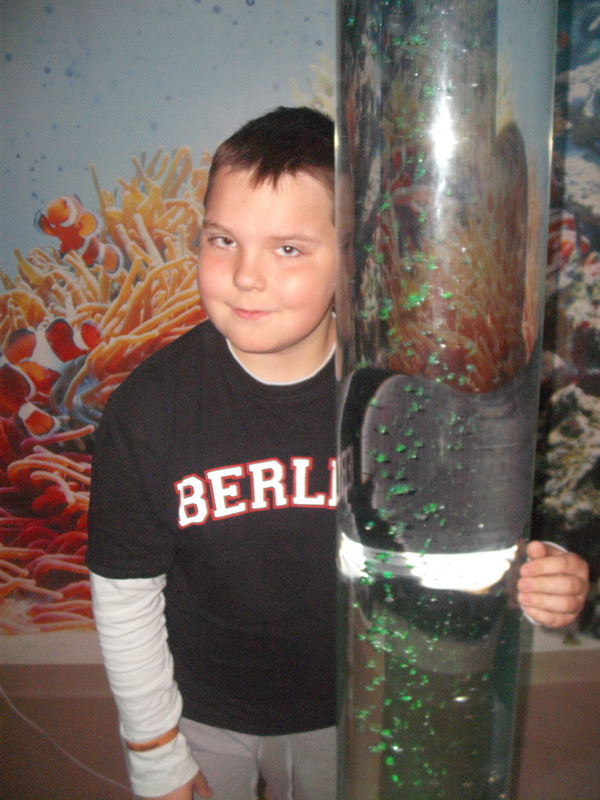 Obraz: 